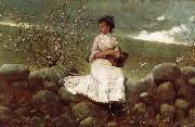 Winslow Homer, Peach bloom